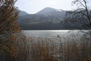 DSC_8900.JPG