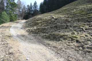 DSC_8909.JPG