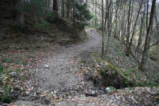 DSC_8916.JPG