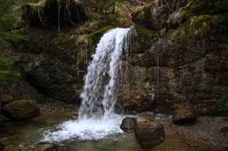 DSC_8932.JPG