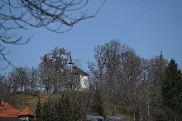 DSC_8729.JPG