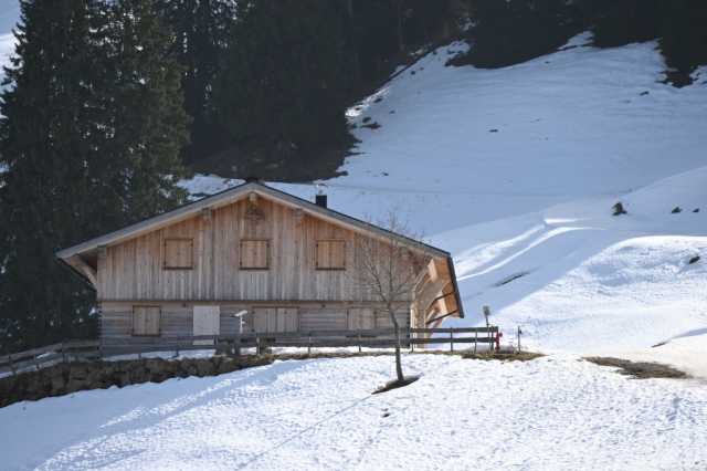 DSC_8769.JPG
