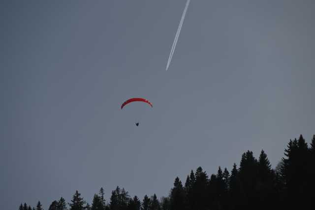 DSC_8772.JPG