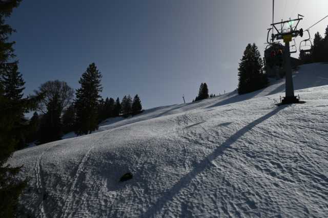 DSC_8779.JPG