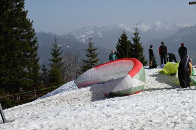 DSC_8780.JPG