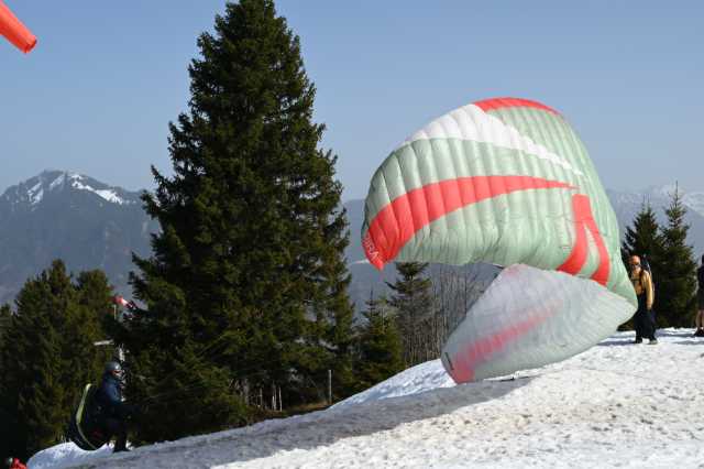DSC_8782.JPG