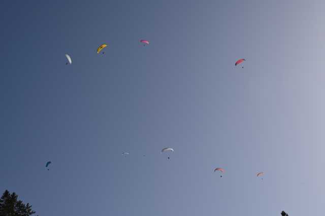 DSC_8843.JPG