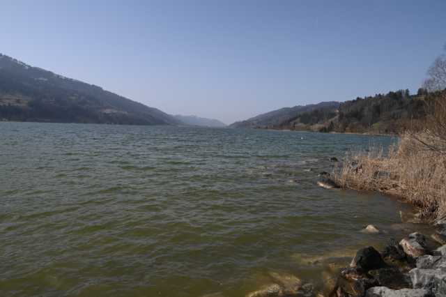 DSC_8895.JPG