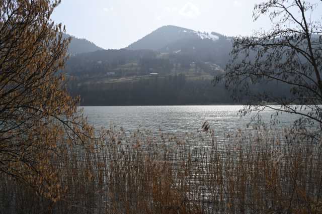 DSC_8900.JPG