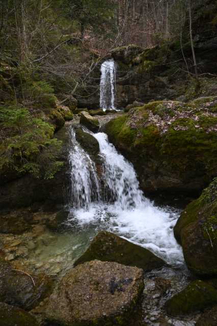 DSC_8930.JPG