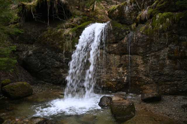DSC_8932.JPG