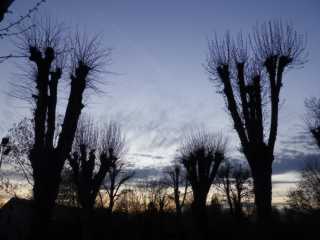 IMGP0047.JPG