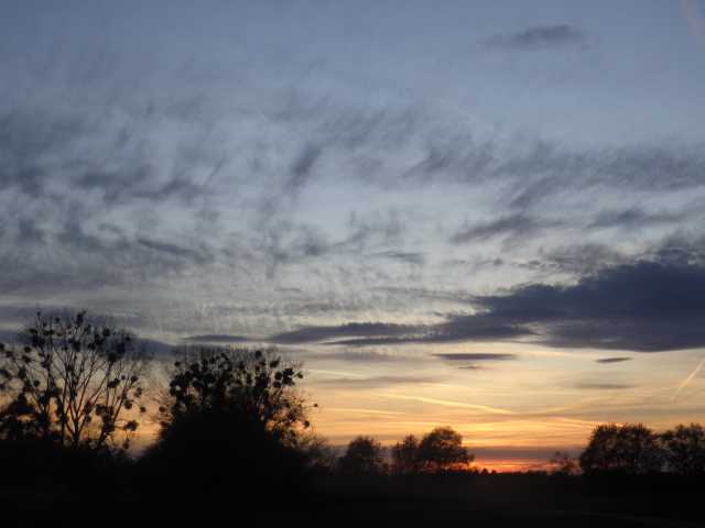 IMGP0025.JPG