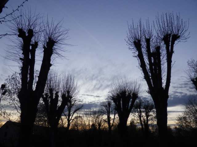 IMGP0047.JPG