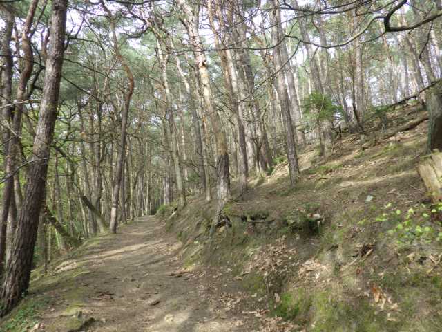 IMGP0053.JPG